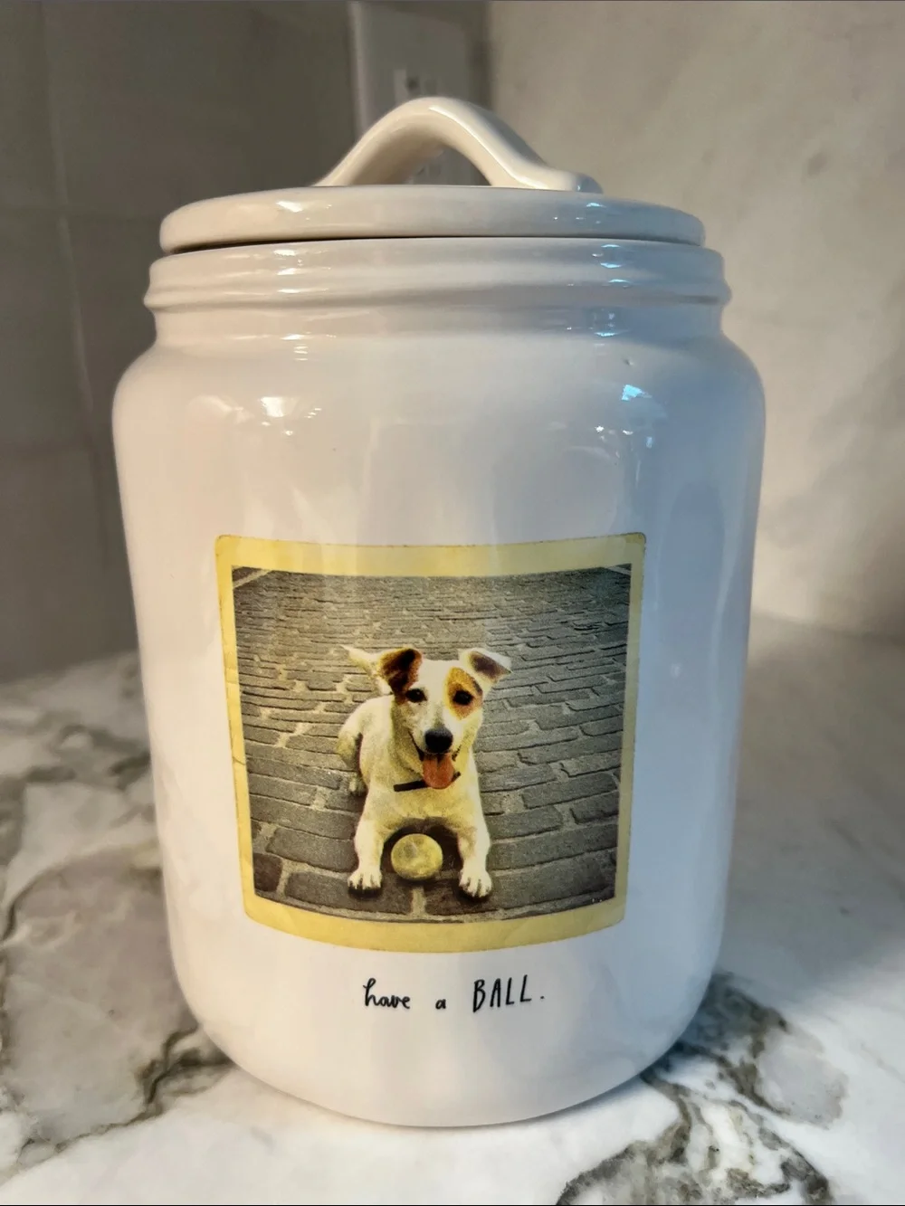 Rae Dunn Dog Have A Ball Treat Canister